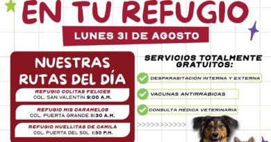 Impulsa Gobierno de Carlos Peña Ortiz Atención Veterinaria con Patitas Seguras en tu Refugio Impulsa Gobierno de Carlos Peña Ortiz Atención Veterinaria con Patitas Seguras en tu Refugio