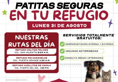 Impulsa Gobierno de Carlos Peña Ortiz Atención Veterinaria con Patitas Seguras en tu Refugio Impulsa Gobierno de Carlos Peña Ortiz Atención Veterinaria con Patitas Seguras en tu Refugio