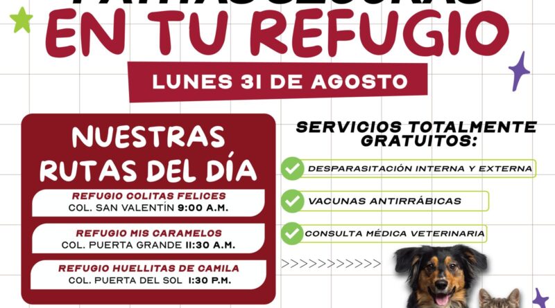 Impulsa Gobierno de Carlos Peña Ortiz Atención Veterinaria con Patitas Seguras en tu Refugio Impulsa Gobierno de Carlos Peña Ortiz Atención Veterinaria con Patitas Seguras en tu Refugio