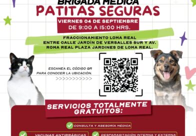 Acercará Gobierno de Carlos Peña Ortiz Esterilizaciones Gratuitas a Loma Real Acercará Gobierno de Carlos Peña Ortiz Esterilizaciones Gratuitas a Loma Real