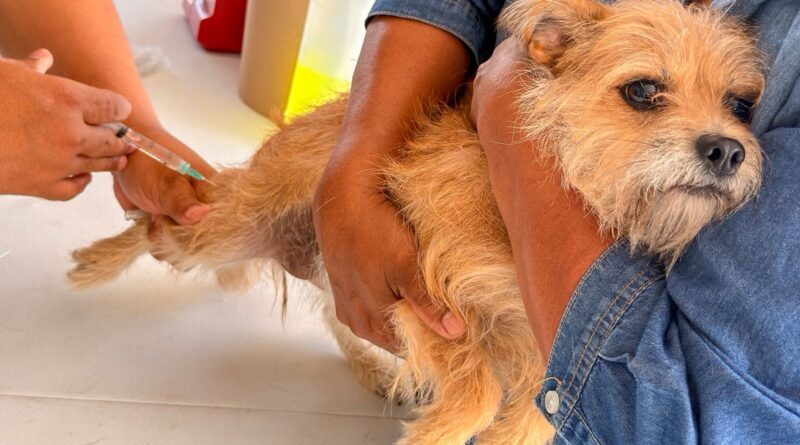 Llevó Gobierno de Carlos Peña Ortiz Atención Veterinaria al Refugio Mis Caramelos Llevó Gobierno de Carlos Peña Ortiz Atención Veterinaria al Refugio Mis Caramelos