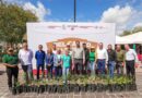 Llevó Carlos Peña Ortiz Productos “Del Campo a tu Mesa” a Familias Reynosenses con Gran Éxito en la Plaza Principal Llevó Carlos Peña Ortiz Productos “Del Campo a tu Mesa” a Familias Reynosenses con Gran Éxito en la Plaza Principal