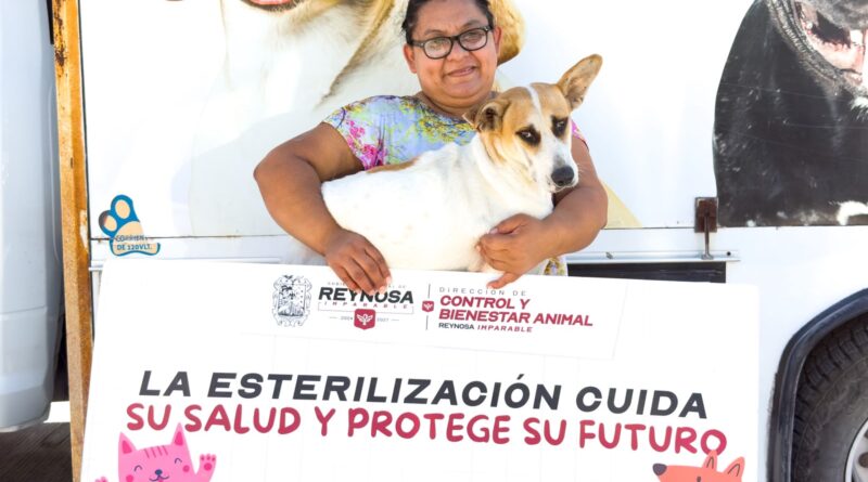 Brinda Gobierno de Carlos Peña Ortiz Esterilizaciones a Caninos en Situación de Calle Brinda Gobierno de Carlos Peña Ortiz Esterilizaciones a Caninos en Situación de Calle