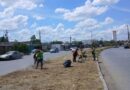 Realizó Servicios Públicos Limpieza en Avenida Principal de Hacienda Las Bugambilias