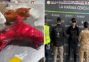 Semar Asegura en el AICM 8.6 kg de Cocaína Ocultos en 20 Piezas Artesanales Procedentes de Perú Semar Asegura en el AICM 8.6 kg de Cocaína Ocultos en 20 Piezas Artesanales Procedentes de Perú