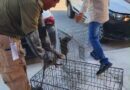 De un Reporte por Basura a un Rescate Inesperado De un Reporte por Basura a un Rescate Inesperado