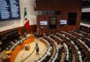 Senado Declara Constitucional la Reforma de Nacionalidad Única Senado Declara Constitucional la Reforma de Nacionalidad Única
