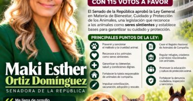 Maki Ortiz Celebra Aprobación de Ley de Bienestar Animal; Senado la Avala con 115 Votos Maki Ortiz Celebra Aprobación de Ley de Bienestar Animal; Senado la Avala con 115 Votos