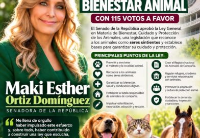 Maki Ortiz Celebra Aprobación de Ley de Bienestar Animal; Senado la Avala con 115 Votos Maki Ortiz Celebra Aprobación de Ley de Bienestar Animal; Senado la Avala con 115 Votos