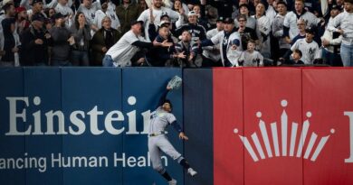 Yankees, Eliminados de Playoffs por Interferencia de fan en las Gradas Yankees, Eliminados de Playoffs por Interferencia de fan en las Gradas