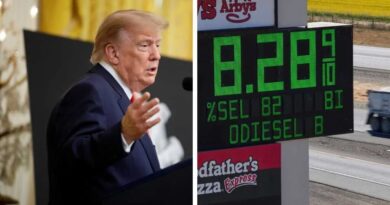 Trump Promete Diésel más Barato para EE. UU. y el Mundo tras Acuerdo con Rusia Trump Promete Diésel más Barato para EE. UU. y el Mundo tras Acuerdo con Rusia