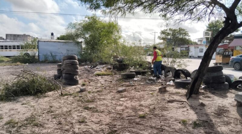 Limpia de Área Verde de la Avenida Revolución en la 16 de Septiembre Limpia de Área Verde de la Avenida Revolución en la 16 de Septiembre