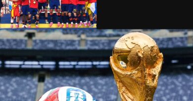 Netflix Adquirió los Derechos Exclusivos para Transmitir la Copa del Mundo 2030 en España y Andorra Netflix Adquirió los Derechos Exclusivos para Transmitir la Copa del Mundo 2030 en España y Andorra