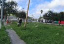 Limpia Servicios Públicos Área Verde en la Colonia Tamaulipas por Instrucción del Alcalde Carlos Peña Ortiz Limpia Servicios Públicos Área Verde en la Colonia Tamaulipas por Instrucción del Alcalde Carlos Peña Ortiz