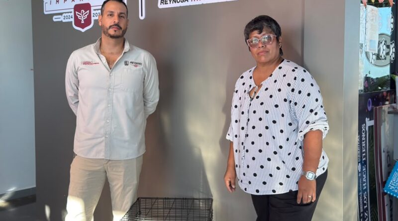Liberó Control y Bienestar Animal a una Zarigüeya en su Hábitat Natural Liberó Control y Bienestar Animal a una Zarigüeya en su Hábitat Natural