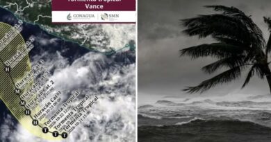 La Tormenta Tropical Vance se Formó en el Océano Pacífico a Partir de la Depresión Tropical Veintidós-E. La Tormenta Tropical Vance se Formó en el Océano Pacífico a Partir de la Depresión Tropical Veintidós-E.