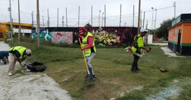 Desarrolla Servicios Públicos Trabajo Permanente en Distintos Sectores de Reynosa