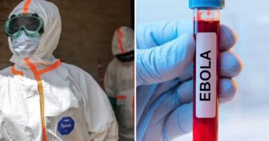 NIGERIA CONFIRMA CASO DE ÉBOLA IMPORTADO Y ACTIVA CONTROLES SANITARIOS