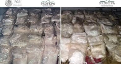 SENTENCIAN A HOMBRE POR TRÁFICO DE TOTOABA: PAGARÁ MÁS DE 19 MDP SENTENCIAN A HOMBRE POR TRÁFICO DE TOTOABA: PAGARÁ MÁS DE 19 MDP