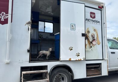Rescató Dirección de Control y Bienestar Animal a Canino Lesionado en la Carretera Calzada Victoria Rescató Dirección de Control y Bienestar Animal a Canino Lesionado en la Carretera Calzada Victoria
